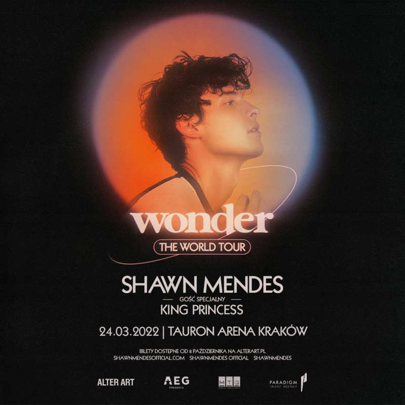 Shawn Mendes, Wonder: The World Tour. Grafika: mat. prasowe Alter Art